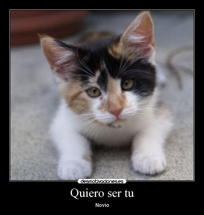 Quiero ser tu - Novio