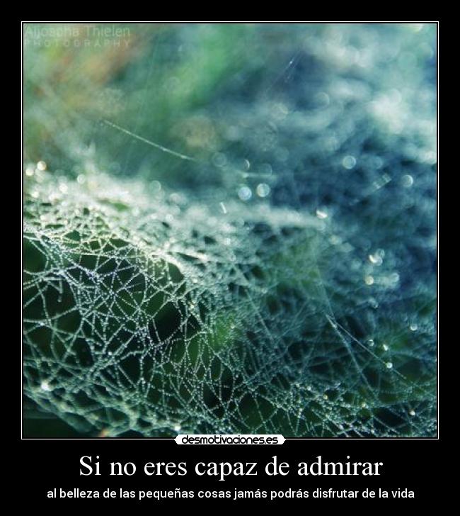 Si no eres capaz de admirar - 