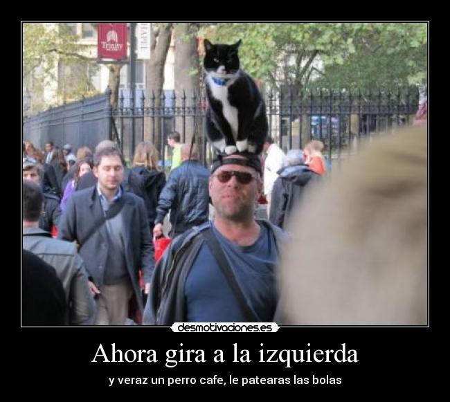 Ahora gira a la izquierda - 