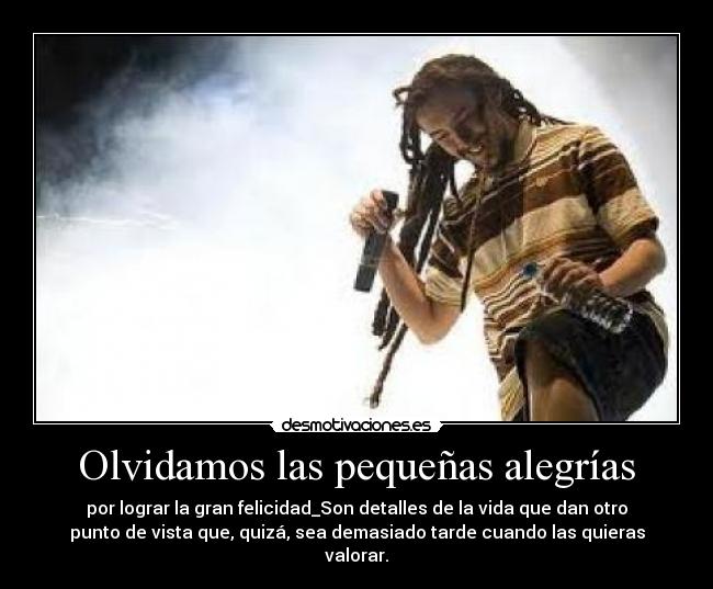 Olvidamos las pequeñas alegrías - por lograr la gran felicidad_Son detalles de la vida que dan otro
punto de vista que, quizá, sea demasiado tarde cuando las quieras
valorar.