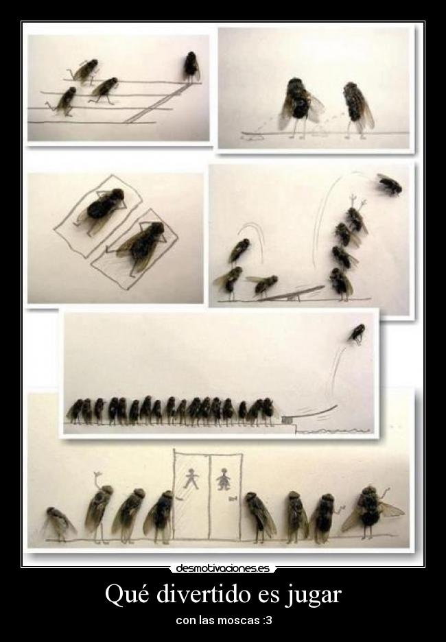 Qué divertido es jugar - con las moscas :3