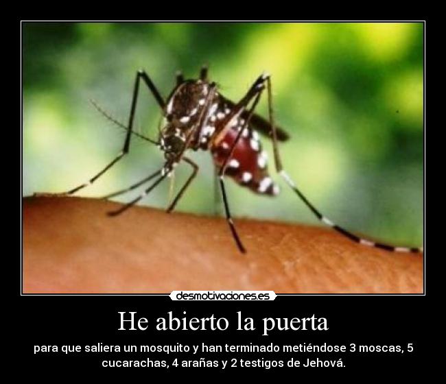 He abierto la puerta - para que saliera un mosquito y han terminado metiéndose 3 moscas, 5
cucarachas, 4 arañas y 2 testigos de Jehová.