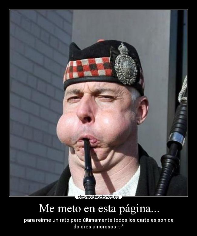 Me meto en esta página... -