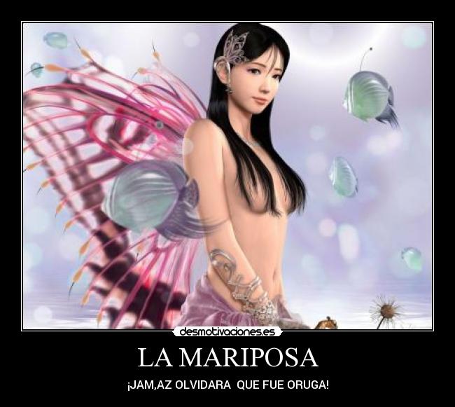 LA MARIPOSA -
