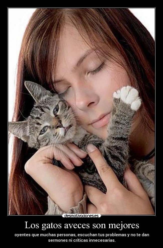 Los gatos aveces son mejores - oyentes que muchas personas, escuchan tus problemas y no te dan
sermones ni criticas innecesarias.