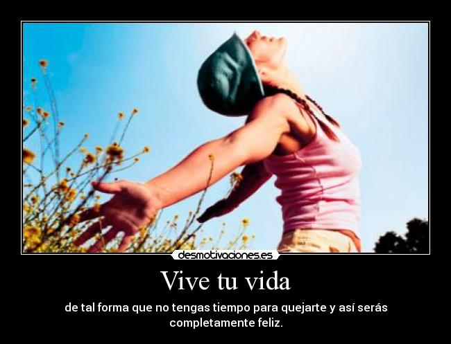 carteles vida vive vida desmotivaciones