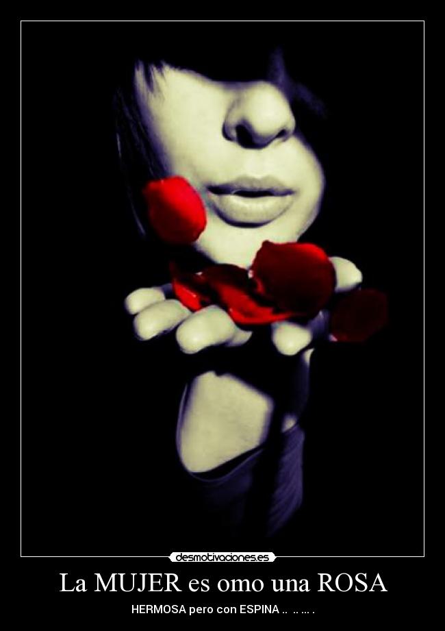 La MUJER es omo una ROSA - HERMOSA pero con ESPINA ..  .. ... .