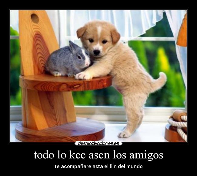 todo lo kee asen los amigos - 