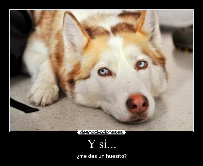 Y si... - 