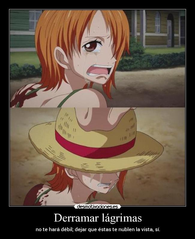 carteles one piece creo que este primer cartel que hago nami lol harukaze desmotivaciones