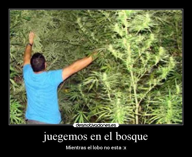 juegemos en el bosque - Mientras el lobo no esta :x