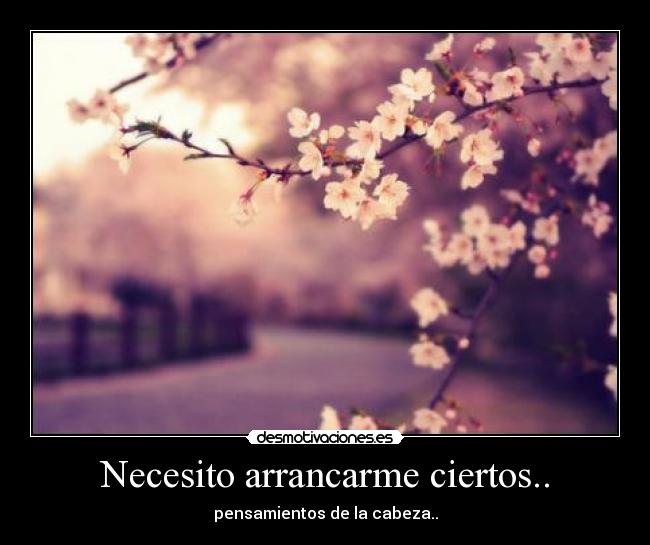 Necesito arrancarme ciertos.. - pensamientos de la cabeza..