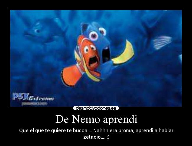 De Nemo aprendi - 