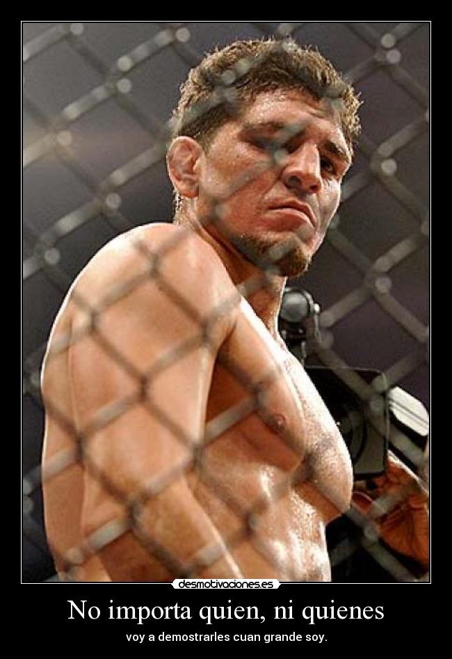 carteles artes marciales desmotivaciones