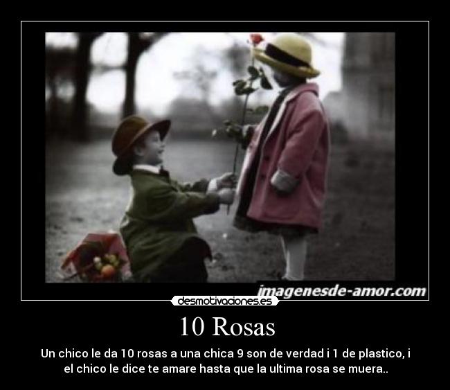 10 Rosas - 