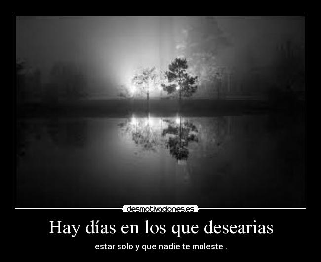 carteles noche desmotivaciones