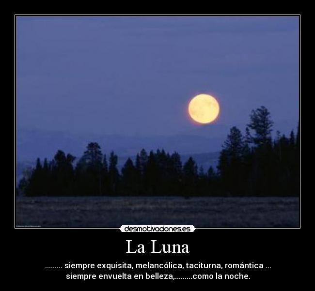 carteles luna desmotivaciones