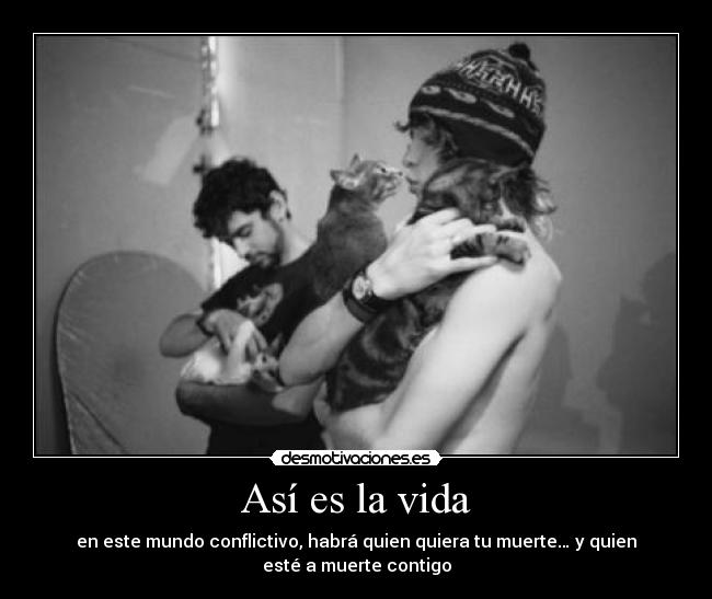 Así es la vida - en este mundo conflictivo, habrá quien quiera tu muerte… y quien
esté a muerte contigo