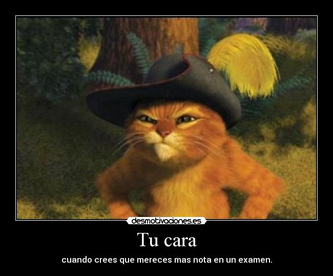 Tu cara - cuando crees que mereces mas nota en un examen.