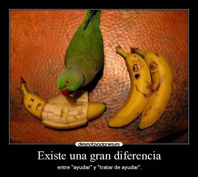 Existe una gran diferencia -