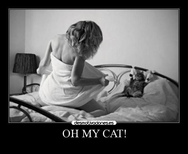 OH MY CAT! - 