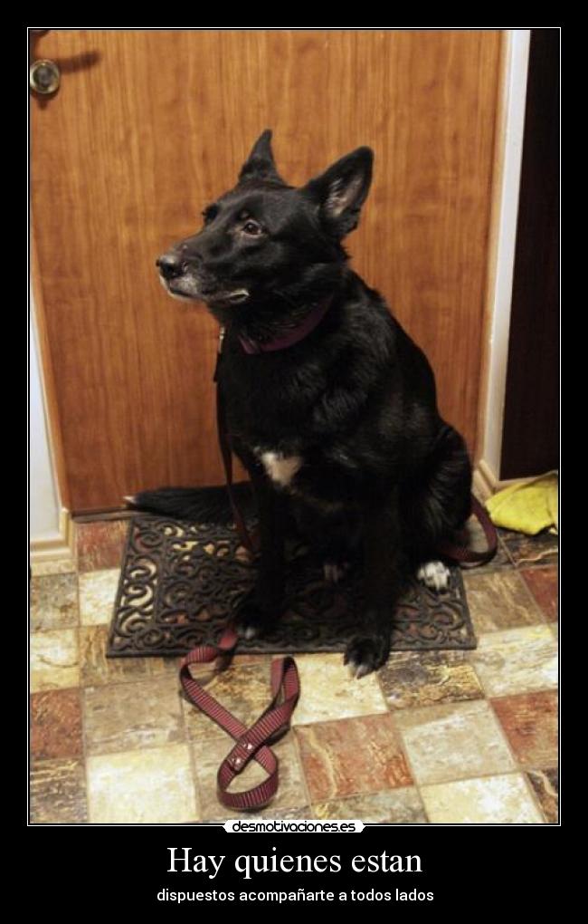 Hay quienes estan - dispuestos acompañarte a todos lados