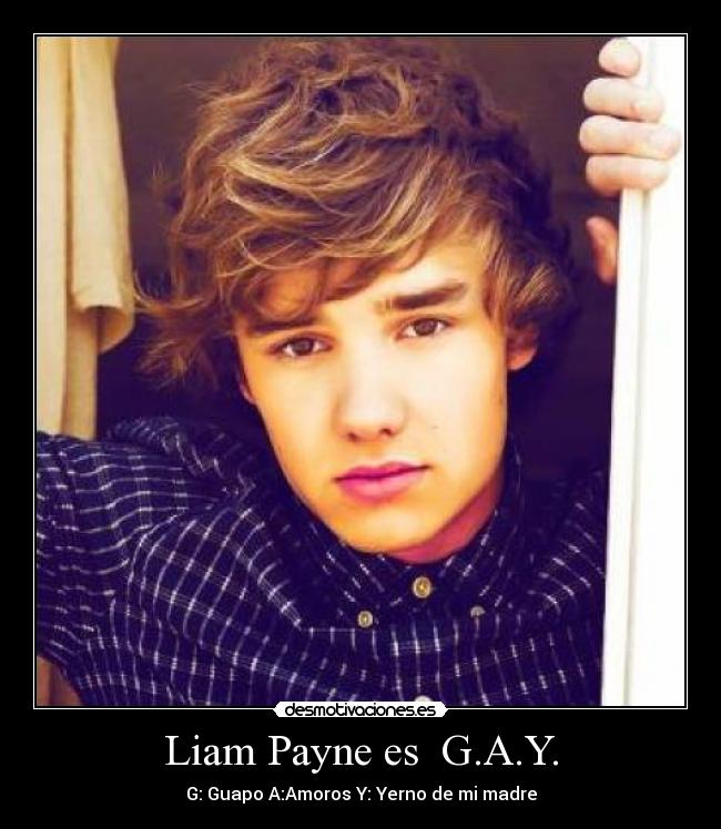 Liam Payne es G.A.Y. -