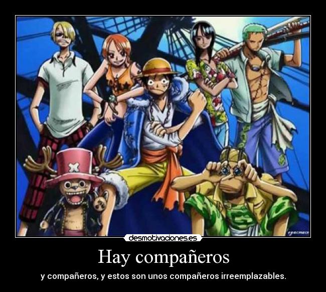 Hay compañeros - y compañeros, y estos son unos compañeros irreemplazables.