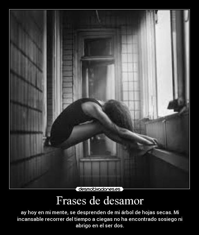 Frases de desamor -