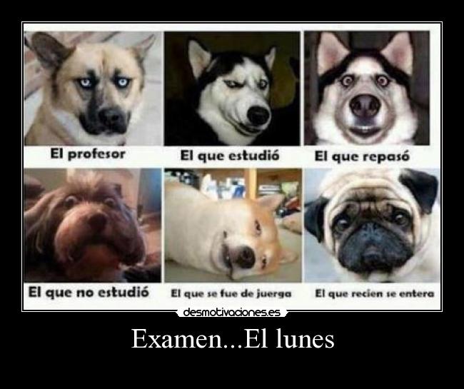 Examen...El lunes - 