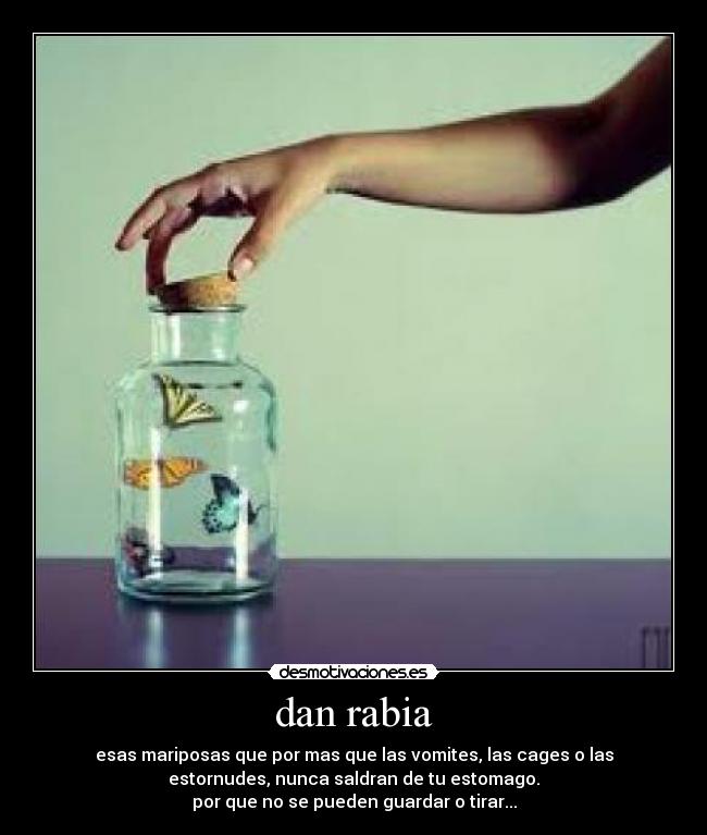 dan rabia - 