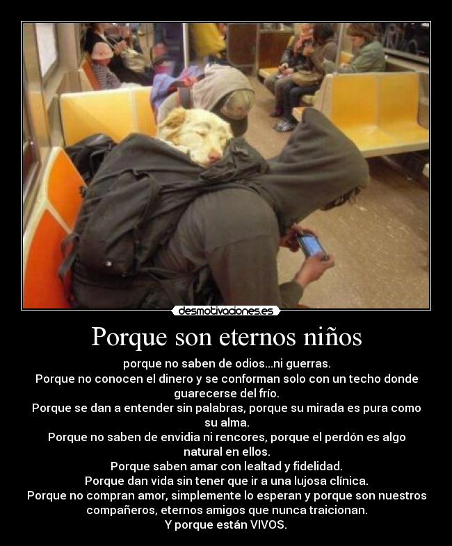 Porque son eternos niños - porque no saben de odios...ni guerras.
Porque no conocen el dinero y se conforman solo con un techo donde
guarecerse del frío.
Porque se dan a entender sin palabras, porque su mirada es pura como
su alma.
Porque no saben de envidia ni rencores, porque el perdón es algo
natural en ellos.
Porque saben amar con lealtad y fidelidad.
Porque dan vida sin tener que ir a una lujosa clínica.
Porque no compran amor, simplemente lo esperan y porque son nuestros
compañeros, eternos amigos que nunca traicionan.
Y porque están VIVOS.
