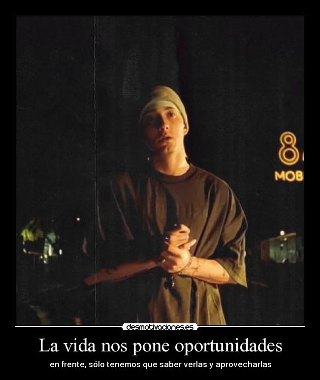 carteles vida dooby eminem desmotivaciones