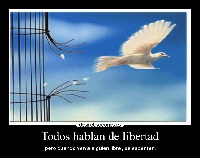 Todos hablan de libertad -