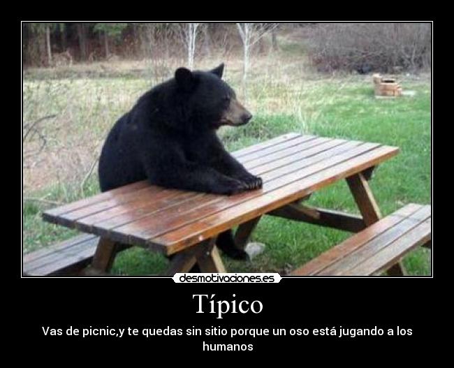 Típico -