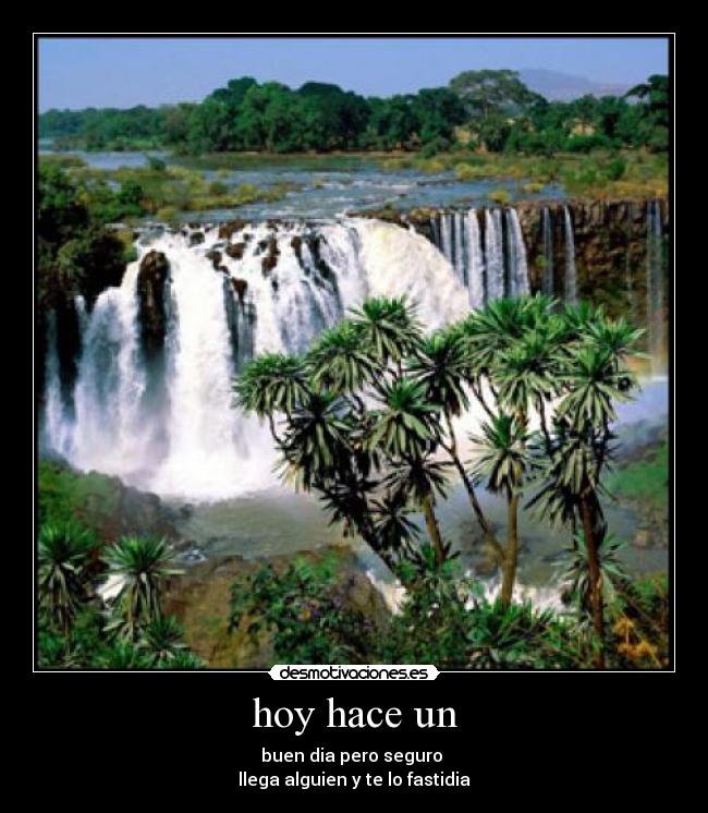 hoy hace un - buen dia pero seguro
llega alguien y te lo fastidia