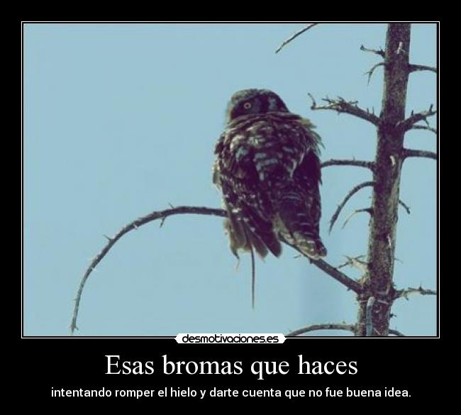 Esas bromas que haces - 