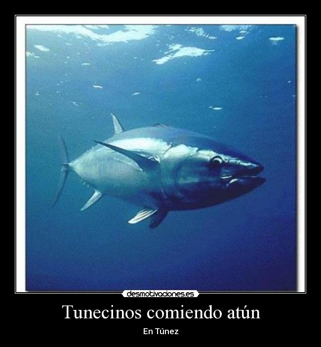 Tunecinos comiendo atún - En Túnez