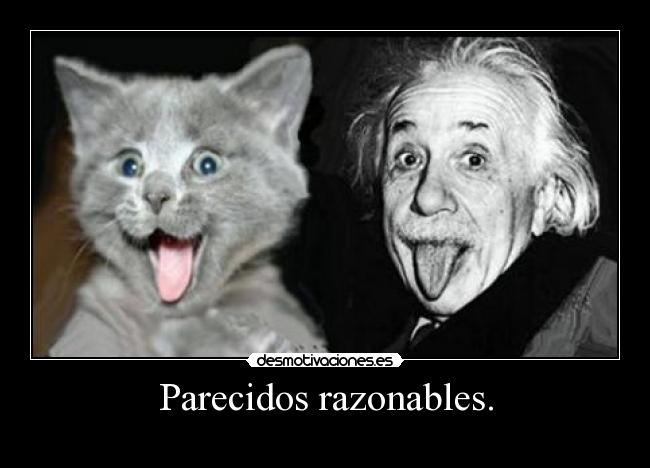 carteles gato intruders crazyclub clanreyleon suele pasar entenderan xddddddd desmotivaciones