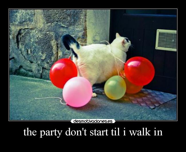 the party dont start til i walk in - 