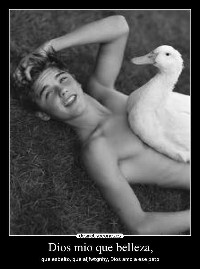 Dios mio que belleza, - que esbelto, que afjfwtgnhy, Dios amo a ese pato
