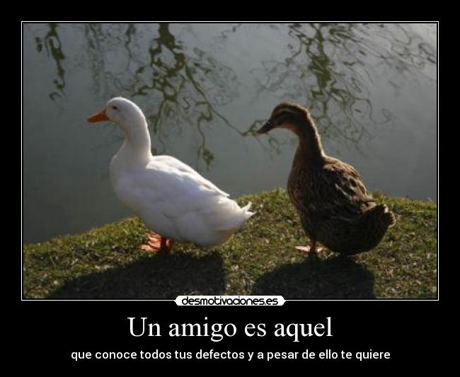 Un amigo es aquel - 