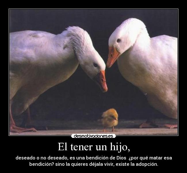 El tener un hijo, -