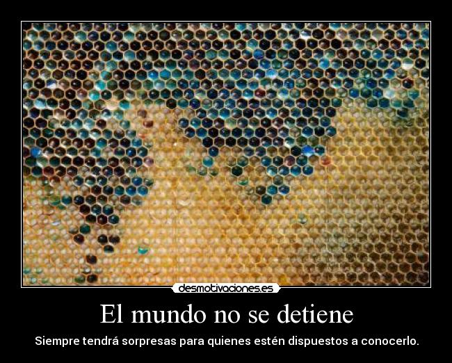 El mundo no se detiene - Siempre tendrá sorpresas para quienes estén dispuestos a conocerlo.