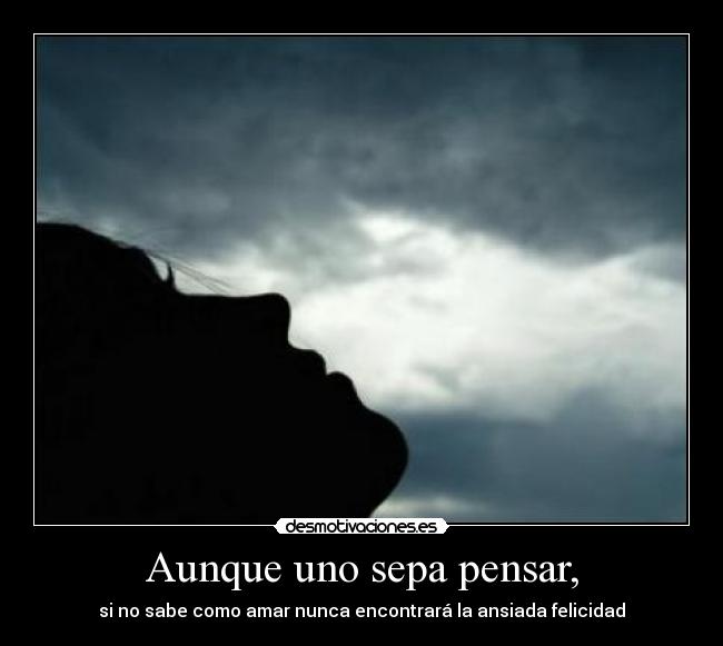 carteles aunque uno sepa pensar desmotivaciones