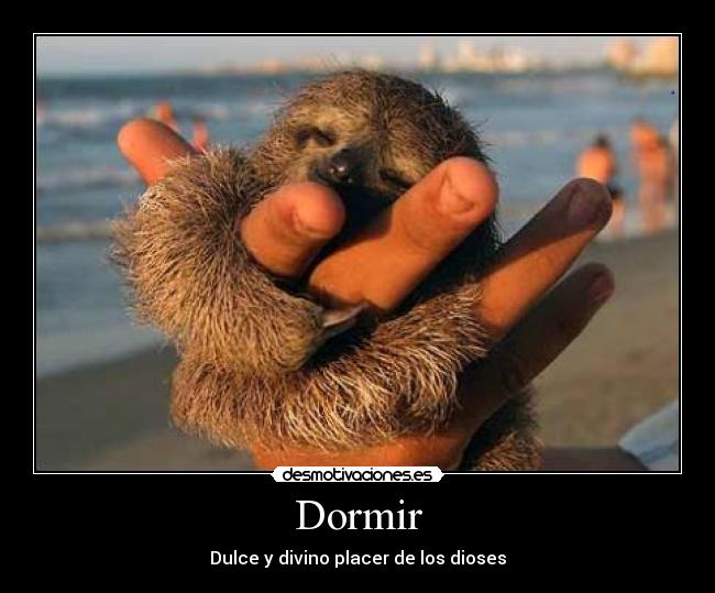 Dormir - Dulce y divino placer de los dioses