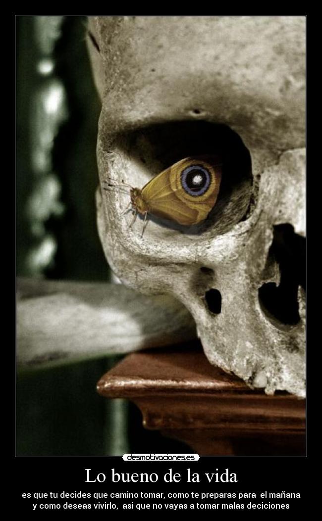 Lo bueno de la vida - es que tu decides que camino tomar, como te preparas para  el mañana
y como deseas vivirlo,  asi que no vayas a tomar malas deciciones