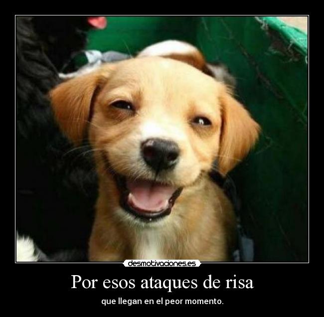 Por esos ataques de risa - que llegan en el peor momento.