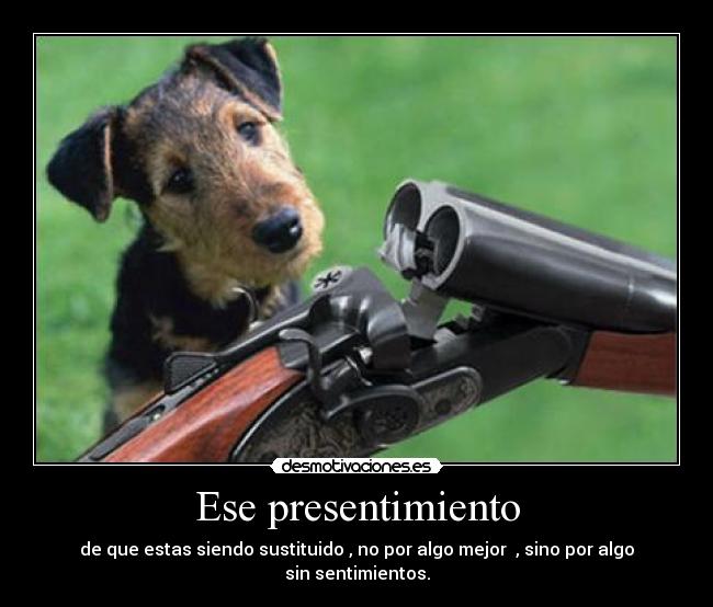 Ese presentimiento - de que estas siendo sustituido , no por algo mejor , sino por algo sin sentimientos.