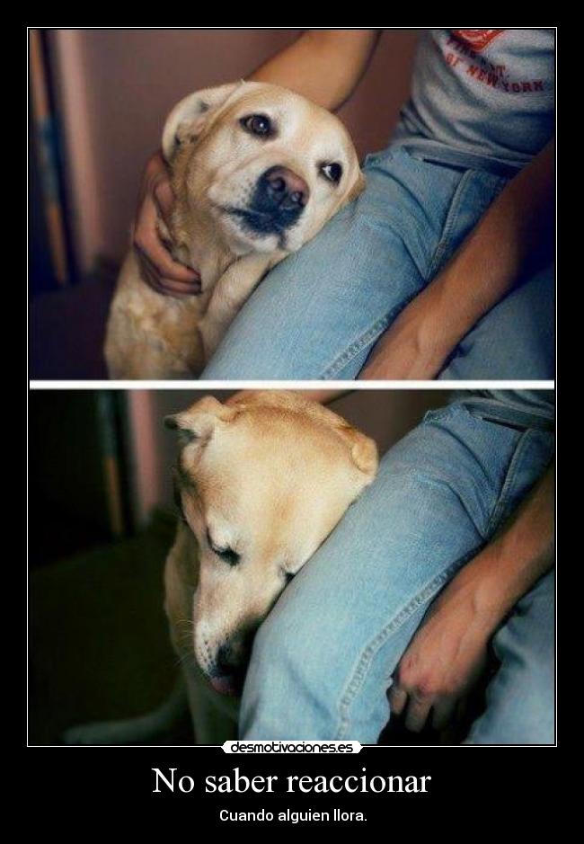 No saber reaccionar -
